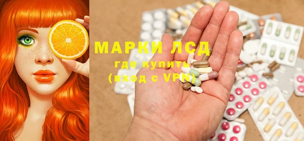 гашик Алагир