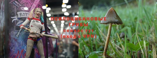 прущая мука Беломорск