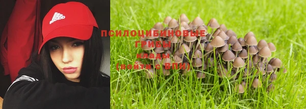 альфа пвп Белокуриха