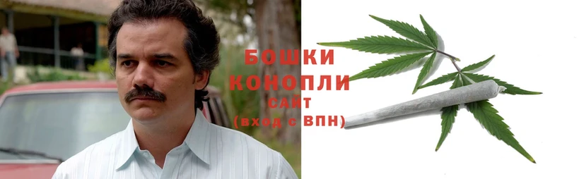 Канабис THC 21%  OMG сайт  площадка состав  Белокуриха 